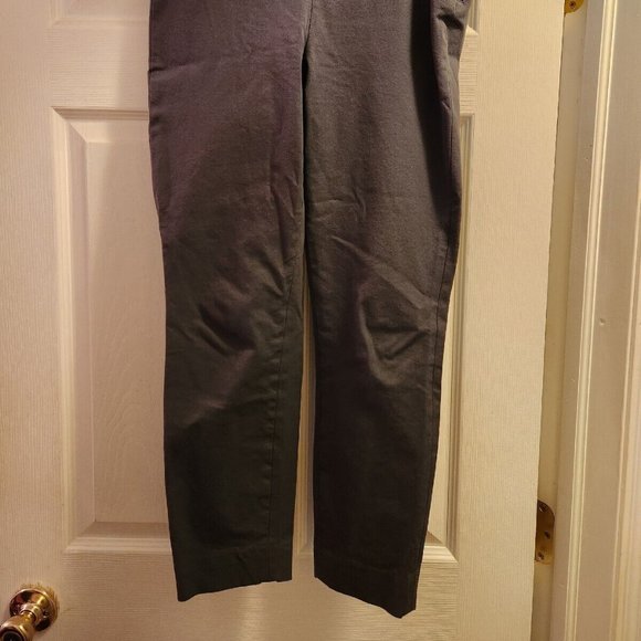 NEW Everlane The Side-Zip Stretch Cotton Pant in Slate Gray size 6 - Picture 5 of 10